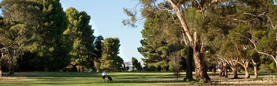 loxton_golf_2