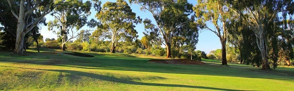 loxton_golf_7