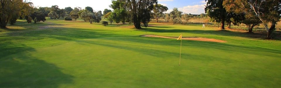 loxton_golf_8